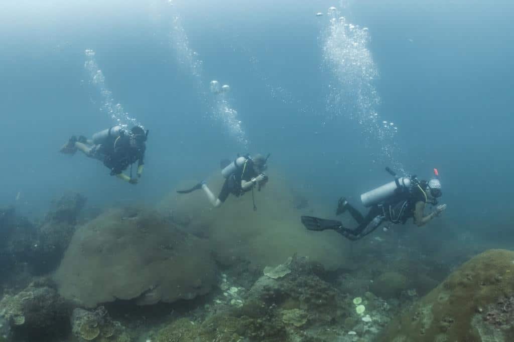 three-divers-swimming-along