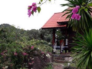 typical bungalow on koh tao 1024x768