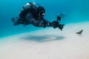 underwater photographer