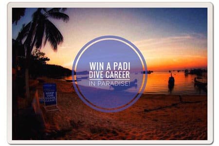 win-padi-career-on-koh-tao