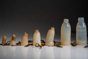 Algae Water Bottle Ari Jonsson
