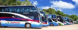 lomprayah bus
