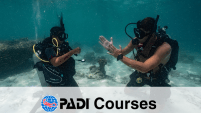 PADI Courses