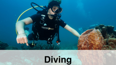 Fun Diving