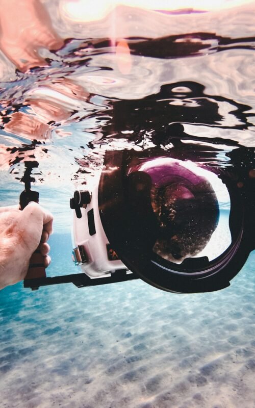 Master the Art of Underwater Photography: Tips &#038; Techniques for Divers