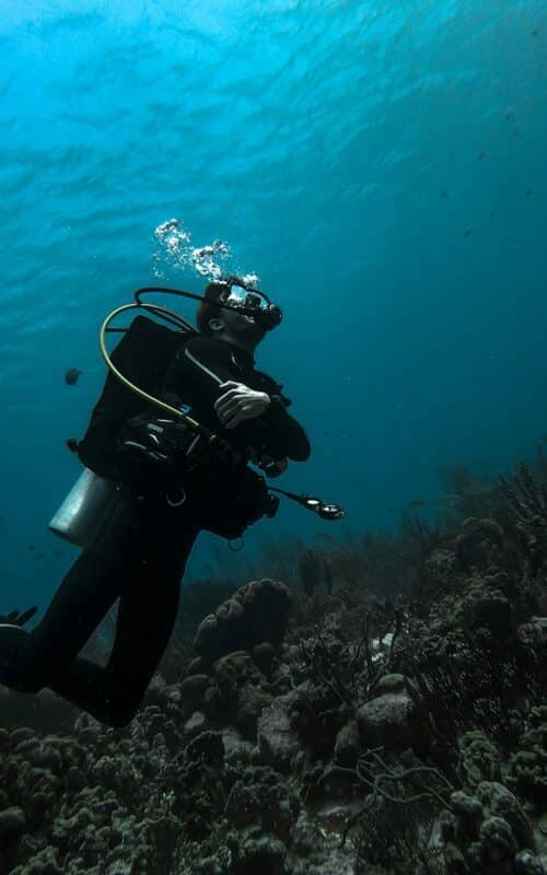 Discover Eco-Friendly Diving: A Guide to Sustainable Scuba Practices