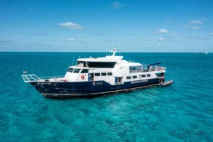 Bahamas Vessel Medium3