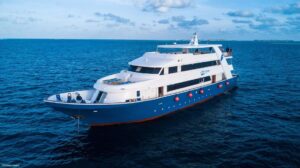 Maldives Blue Voyager Large