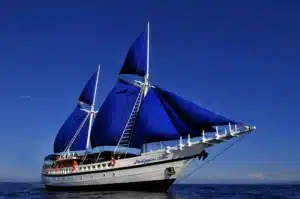 Philippine Siren HR scaled