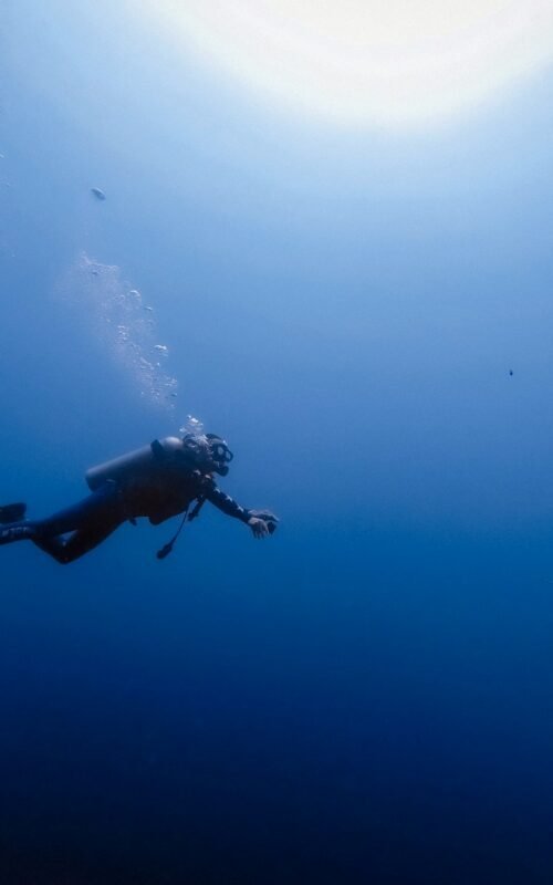 Mastering Drift Diving: A Guide To Conquering Currents For Scuba ...