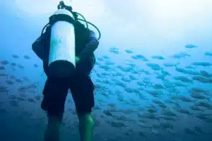 %title%