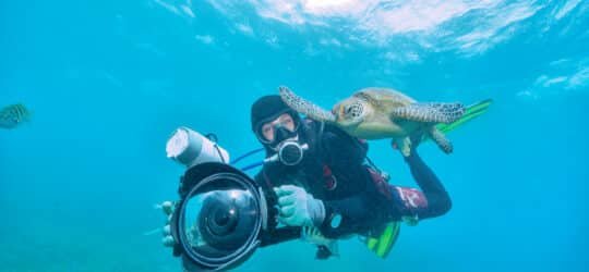 under-water-photographer-diving