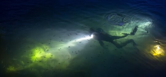 Night Diving