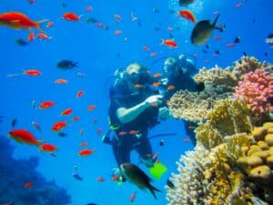 Master Divers' Guide to Underwater Photography: Unlocking the Art and Technique of Capturing the Ocean's Magic