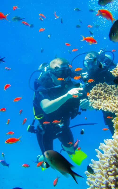 Master Divers&#8217; Guide to Underwater Photography: Unlocking the Art and Technique of Capturing the Ocean&#8217;s Magic