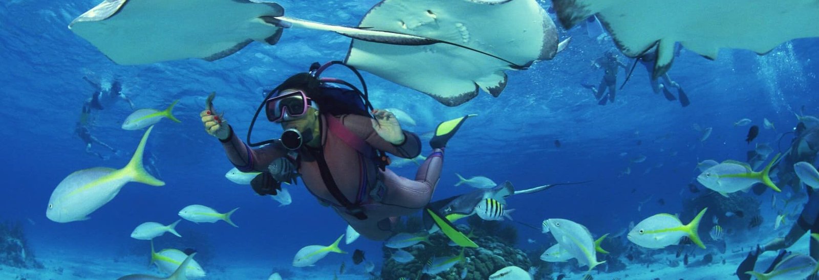 Diving essentials Essential Dive Trip Planning Tips for Beginners