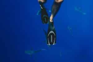Exploring Local Dive Sites: A Beginner’s Guide