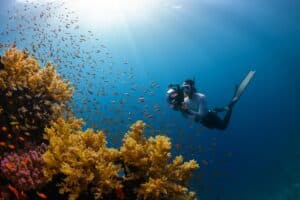 An Introduction to Underwater Photography: Capture Your Diving Memories in Stunning Detail