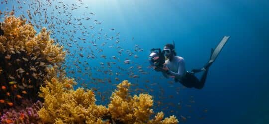 Underwater Photography