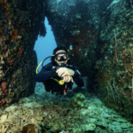 Steven, our legendary Divemaster